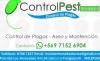 Control pest service panguipulli
